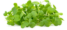 Load image into Gallery viewer, Wasabi Seed 80G (Microgreens)