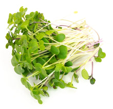 Load image into Gallery viewer, Happy Mix Seeds 80G (Microgreens)