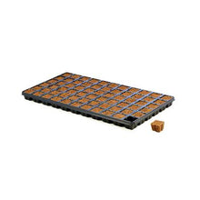 Load image into Gallery viewer, Start Up Bundle (7" Dome, Mondi b/w tray, Mondi tray with holes, Eazy plug T66 tray)