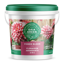 Load image into Gallery viewer, Gaia Green Bundle (4-4-4,2-8-4)