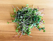 Load image into Gallery viewer, Cabbage Patch Seeds 80G (Microgreens)
