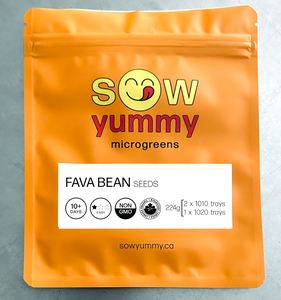 Fava Bean Seeds 224G (Microgreens)