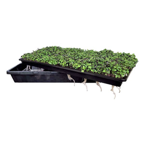 Bootstrap Farmer Microgreen trays