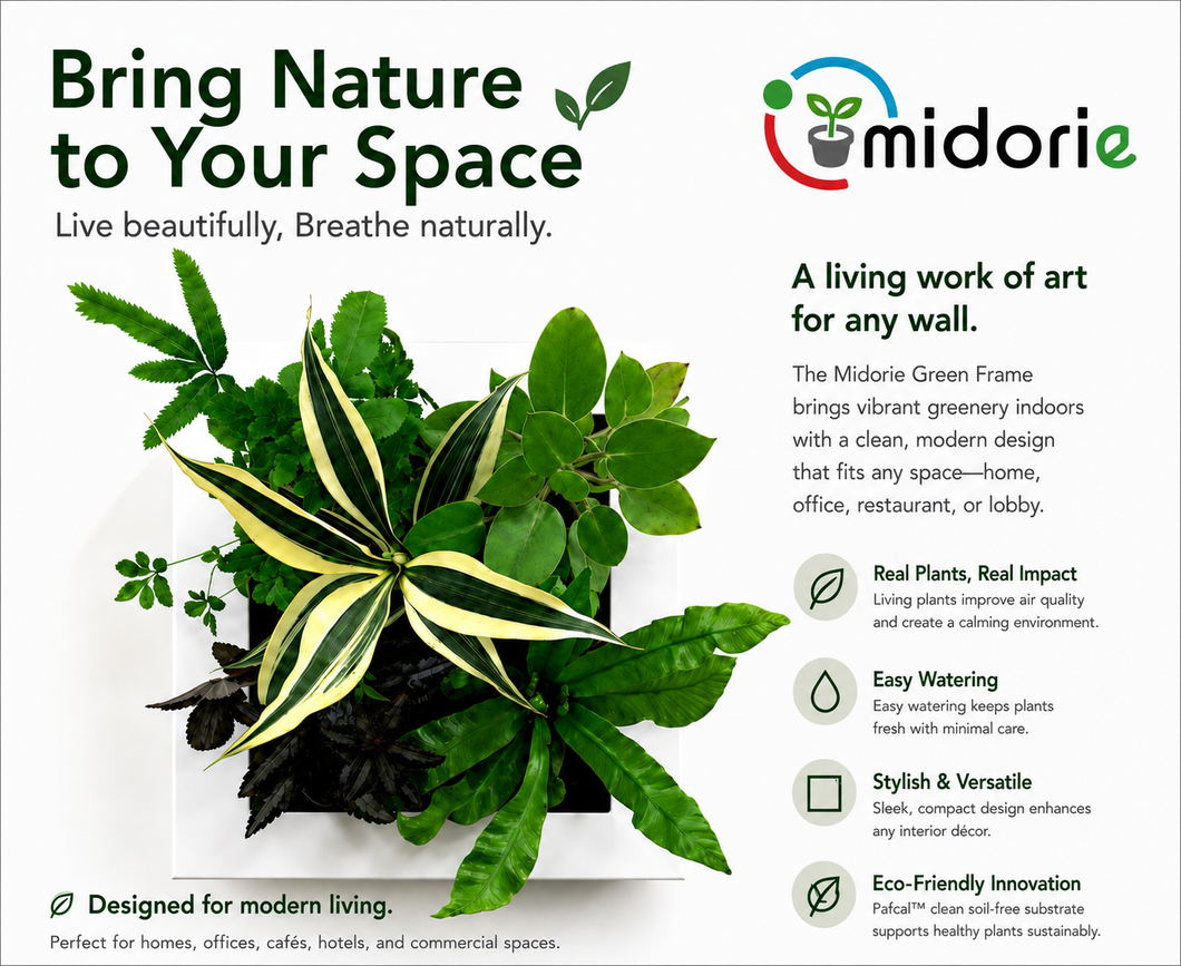 Midorie Plant Frames