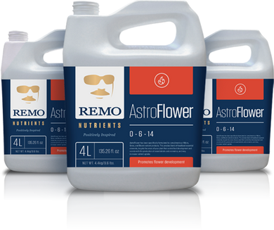 Remo's Astro Flower - Garden Effects -Indoor and outdoor Garden Supply 