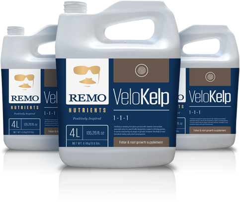 Remo's VeloKelp - Garden Effects -Indoor and outdoor Garden Supply 