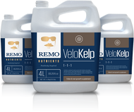 Remo's VeloKelp - Garden Effects -Indoor and outdoor Garden Supply 